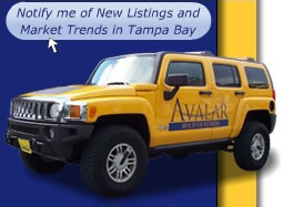 Tampa Bay MLS Listing Alert Service